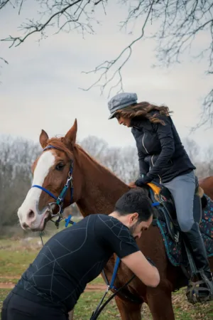 Horseback Riding Lesson