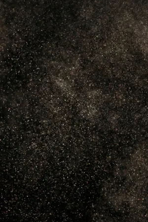 Starfield