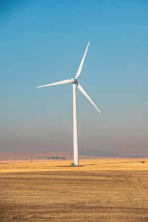 Wind Turbine In A Field