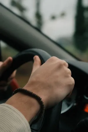 Driving Hands