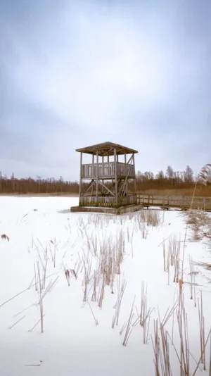 Winter Watchtower