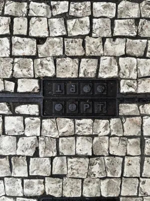 Stone Pathway With Metal Grate