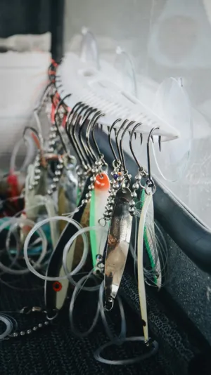 Fishing Lures And Hooks