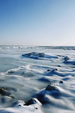 Frozen Landscape