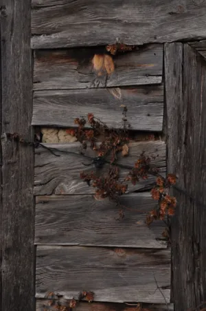 Rustic Wooden Door