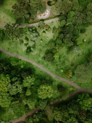 Green Park Aerial View