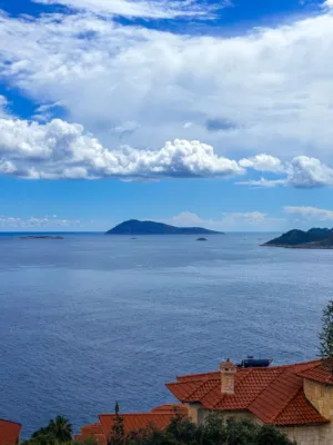 Sea View With Red Roofs