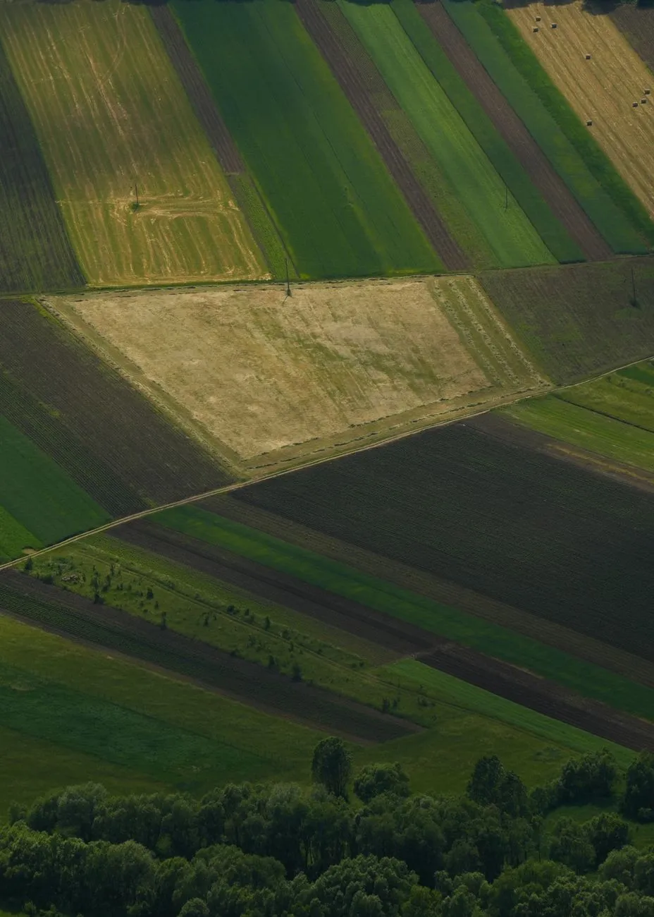 Aerial View Of Farmland