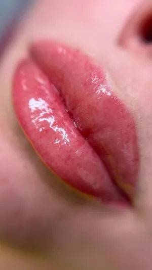 Glossy Lips
