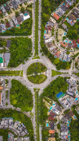 Urban Jungle