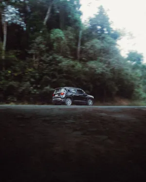 Black Suv On Forest Road