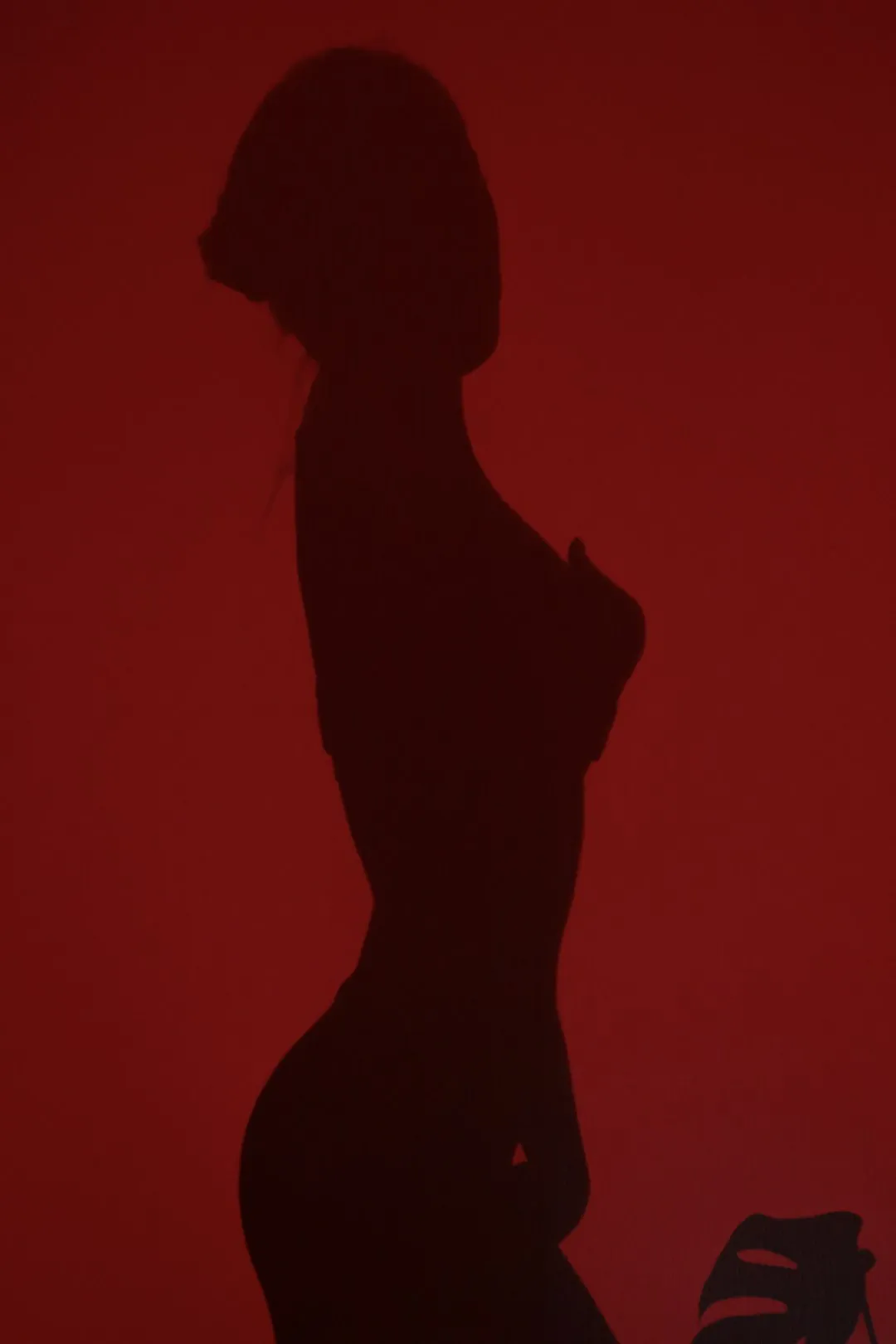 Silhouette Of A Woman