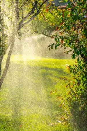 Garden Irrigation