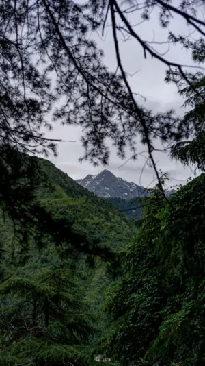Mountain Landscape