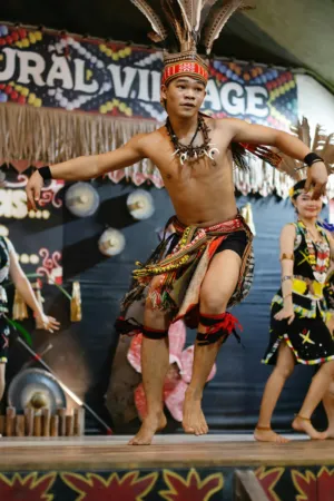 Traditional Dance Performance