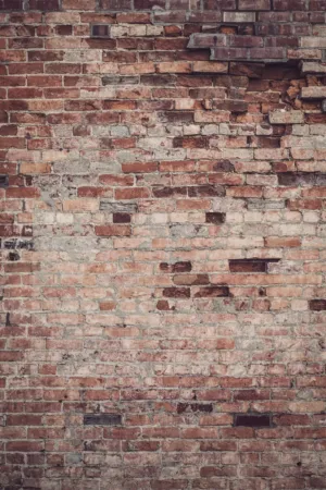 Old Brick Wall