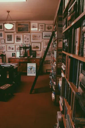 Cozy Bookstore Interior
