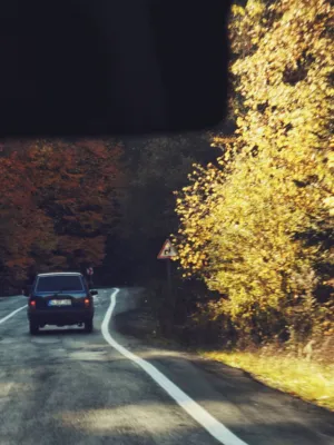 Autumn Drive