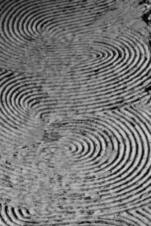 Spiral Texture