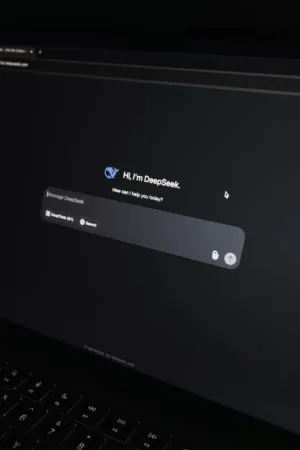 Deepseek Interface