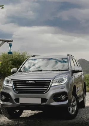 Silver Suv In Nature
