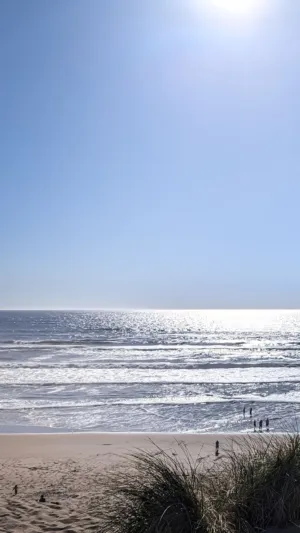 Beach View
