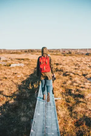 Hiker In The Wild