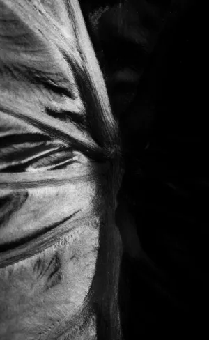 Abstract Leaf