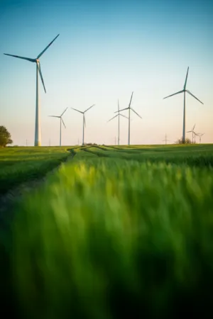 Wind Farm In A Green Field