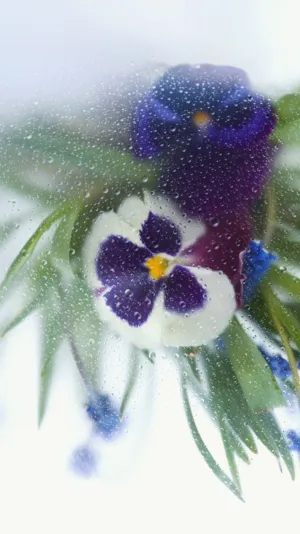 Rainy Day Flowers