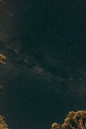 Starry Night Sky