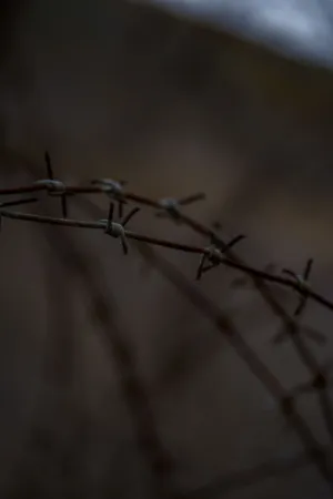 Rusty Barbed Wire Fence