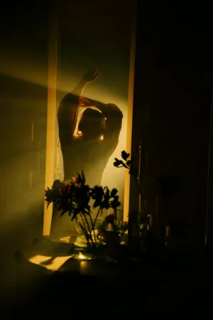 Sunlit Silhouette