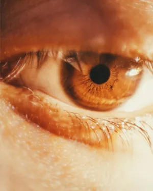 Close-Up Of A Human Eye