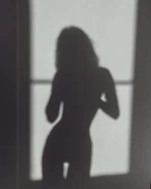 Window Silhouette