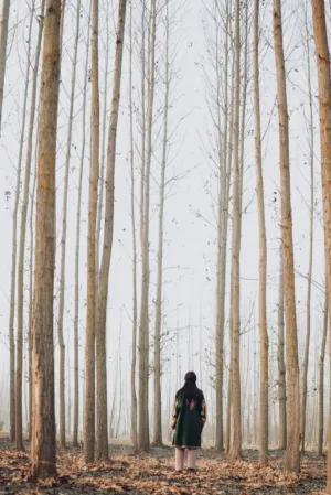 Solitude In The Woods