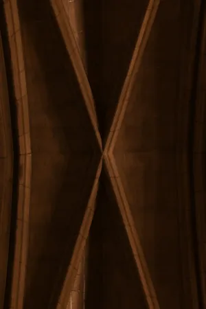 Cathedral Ceiling