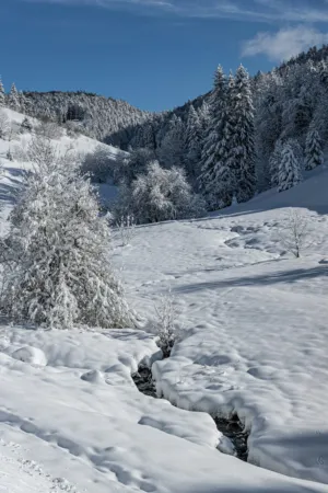 Winter Landscape