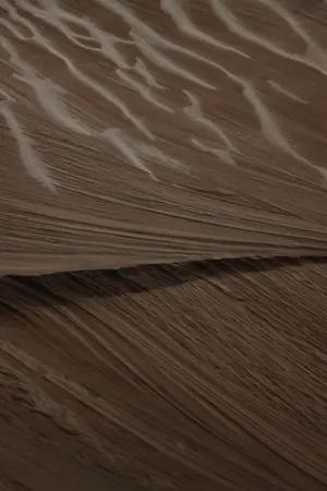 Desert Sand Dunes