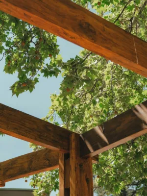 Wooden Pergola With Greenery