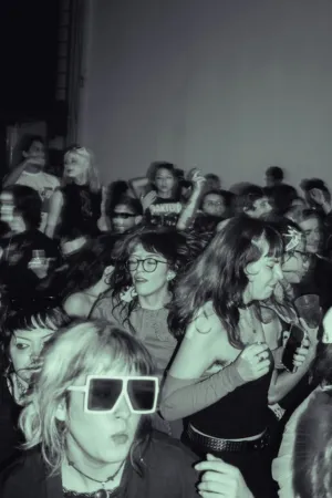 Crowd At A Concert