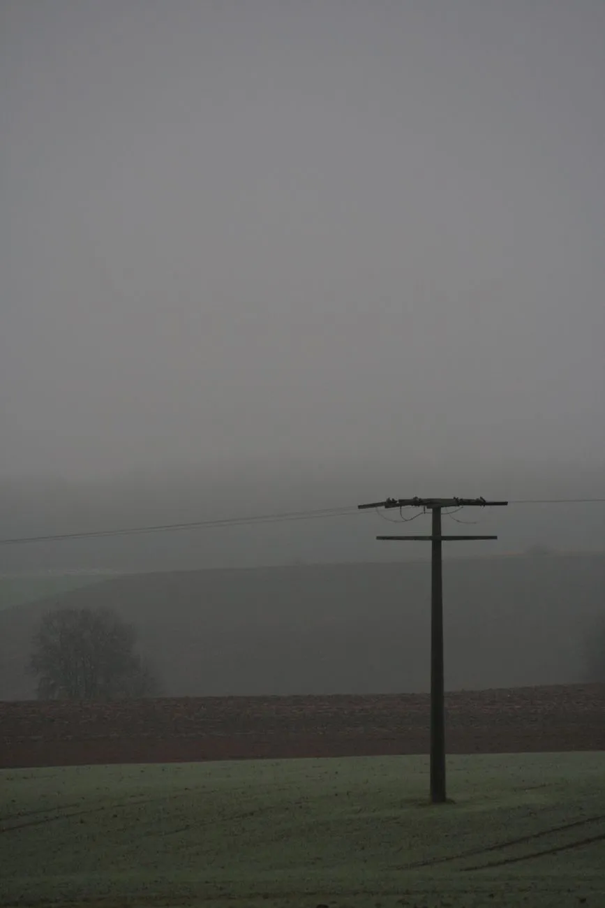 Foggy Field With Power Pole