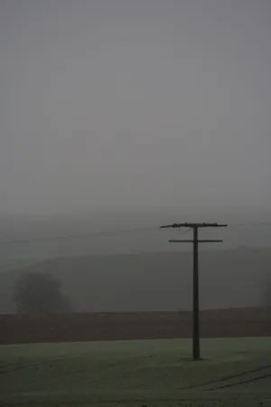 Foggy Field With Power Pole