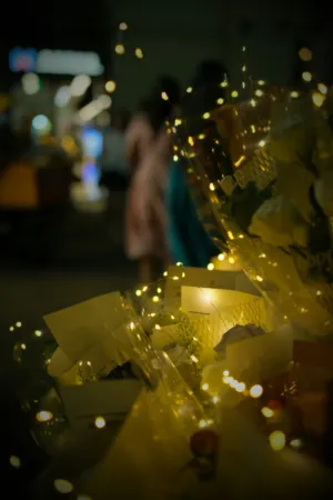 Twinkling Lights And Flowers
