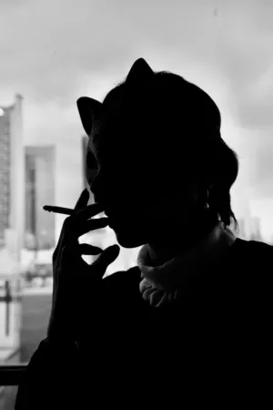 Silhouette Of A Cat