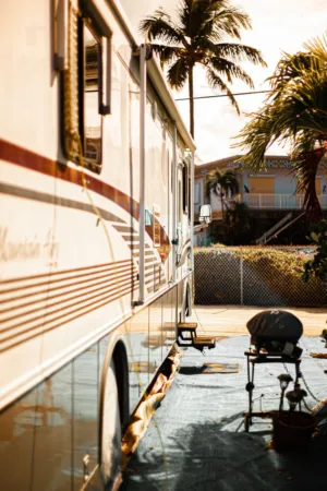 Rv Park With Palm Trees