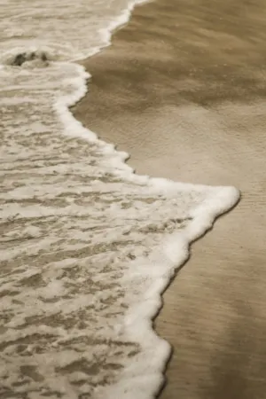 Beach Wave