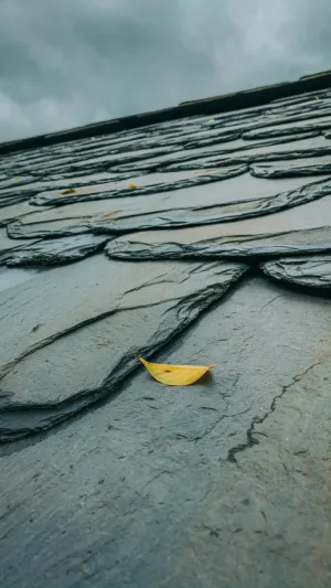 Roof With A Leaf
