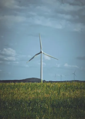 Wind Turbine In A Field