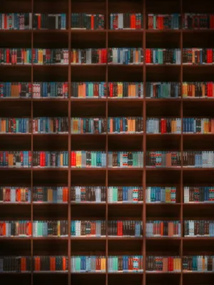 Bookshelf